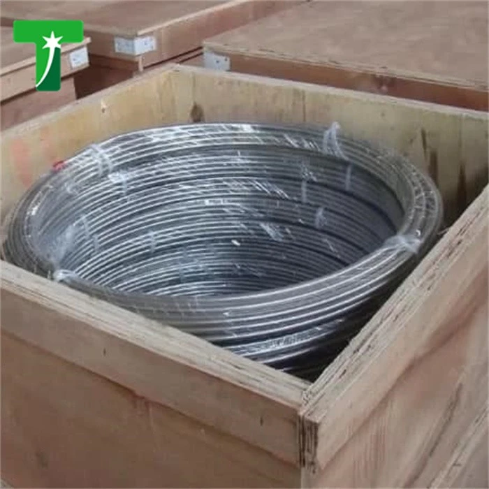 Galvanized Steel Wire Galvanized Iron Wire